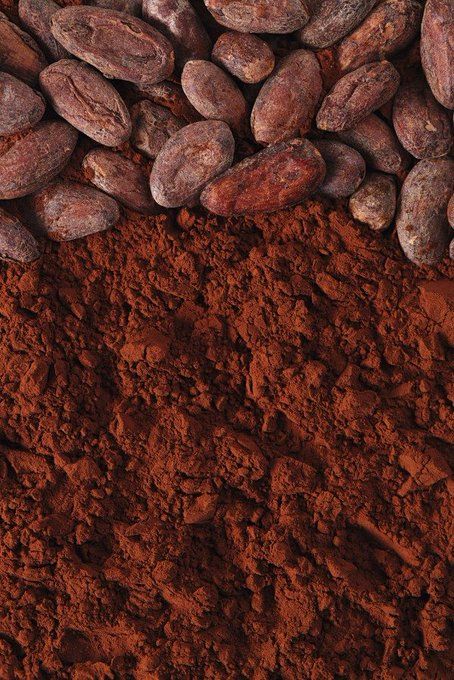 Cocoa