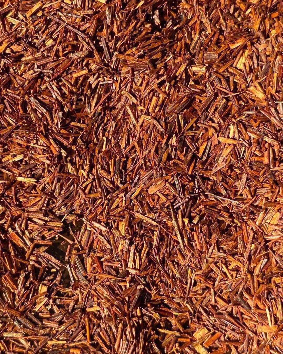 Rooibos
